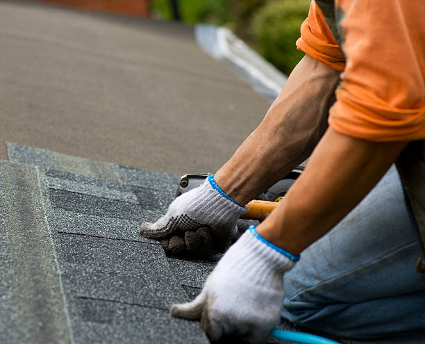 Best Roof Restoration Services  in Mount Pleasant, MI